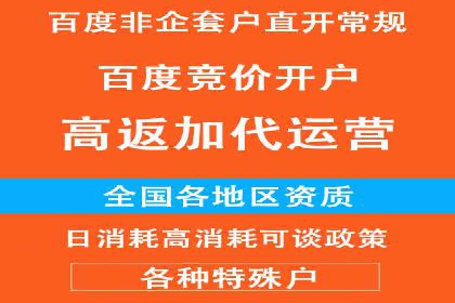 竞价端口开户全攻略，案例分析